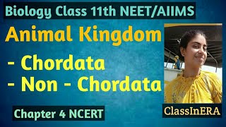 Flow chart  Animal Kingdom  Chordate and Non  Chordate  Class 11th [upl. by Varipapa82]