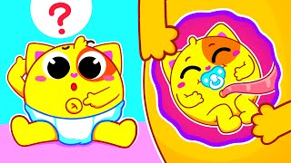 Why Do We Have Belly Buttons for Kids  Funny Songs For Baby amp Nursery Rhymes by Toddler Zoo [upl. by Octavla]