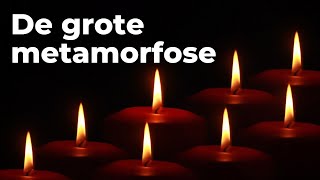 Zondag 24 november  De grote metamorfose [upl. by Georgetta838]