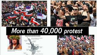 More than 40000 protest New Zealand Maori rights bill [upl. by Hux]