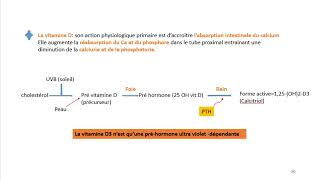 Cours dEndocrinologie vidéo 7  Les Parathyroïdes [upl. by Ynottirb]