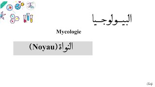 درس ميكولوجي  النواة Noyau L3  Microbiologie Mycologie [upl. by Caines]