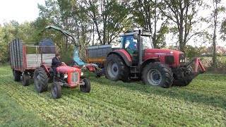 Grass silage with MF amp Landini [upl. by Narod296]