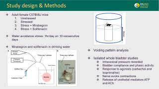 23105 Mirabegron and solifenacin are equally effective at reducing voiding dysfunction caused b [upl. by Norre]