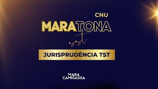 MARAtona SST  Jurisprudência TST [upl. by Auqeenahs]