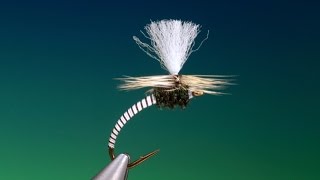 Tying the Vulgata emerger with Barry Ord Clarke [upl. by Gnahc]