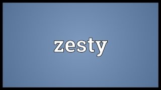 Zesty Meaning [upl. by Maiocco985]