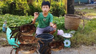 The boy trapped many crabs and sold them to earn extra income [upl. by Pish252]