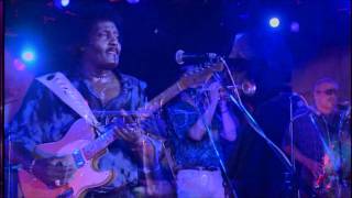 Albert Collins  05 Too Many Dirty Dishes HD [upl. by Crichton]