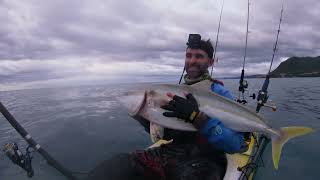 Live baiting with a Shimano Thunnus 8000 Baitrunner for king fish [upl. by Buyer]