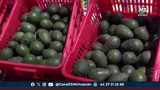 En México se propuso sustituir a inspectores de aguacate estadounidenses por nacionales [upl. by Depoliti]