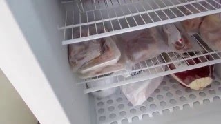 Frigidaire upright freezer review [upl. by Anwat]