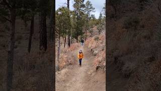 Ruidoso New Mexico 🇺🇸 USA RudiosoNewMexico Hiking [upl. by Akiam]