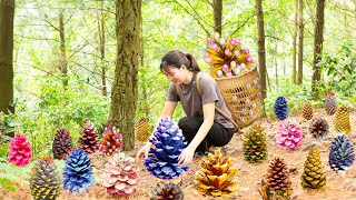 Harvesting Pine Cone amp Make decorations from dried Pine Cones Goes to the market sell [upl. by Moyna]