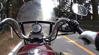 スポーツスター世界一の日光杉並木街道走ってみた！ tried riding the worlds longest Sportster road in Nikko [upl. by Airdnaz412]