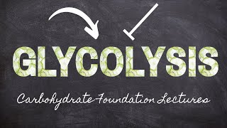 Regulation of Glycolysis  Part 10 Carbohydrate Foundations  Macronutrients Lecture 56 [upl. by Namyh]