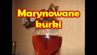 Marynowane kurki  Kwestia Smaku [upl. by Dorrie]