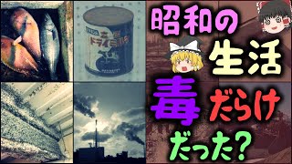 【ゆっくり解説】危険な毒だらけの「昭和の生活」6選 [upl. by Ruella]