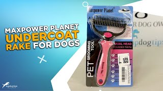 Review Maxpower Planet Undercoat Rake for Dogs [upl. by Thomas]