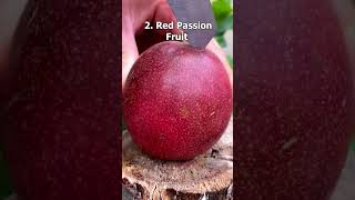 Top 5 Strangest Passion Fruit Varieties shorts [upl. by Lancaster201]