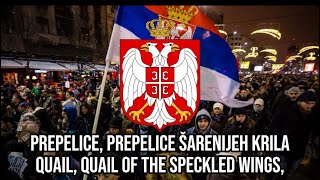 “Prepelice”Serbian folk song [upl. by Anirehtac]