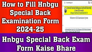 How to Fill Hnbgu Special Back Examination Form 202425 [upl. by Pincince159]