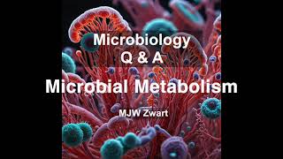 Microbiology QampA Microbial Metabolism [upl. by Aleunamme]