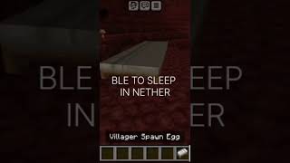 Bed in nether minecraft minecraftfacts Ggcraft1 [upl. by Ailin]