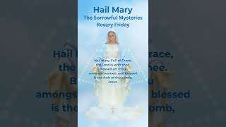 Hail Mary Rosary Prayer  Rosary Friday  Sorrowful Mysteries  Ave Maria Piano hailmary [upl. by Oenire]