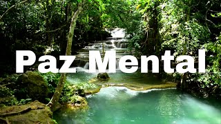 O melhor Remédio para Ansiedade  Musica para Relaxar e Tranquilizar  Sons Relaxantes da Natureza [upl. by Corley]