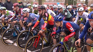 Cyclocross Merksplas Men Elite 50fps 16 Nov 2024 [upl. by Wunder]