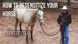 Desensitizing Your Horse Episode 4 [upl. by Rudman]