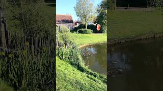 Morgens in Kamperland nederlands holidayhomes northsea shortsvideo [upl. by Tshombe]