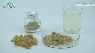 Boswellia Serrata Extract [upl. by Popelka]