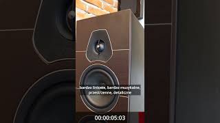 Sonus Faber Lumina V  produkt w minutę  S4Home [upl. by Ettenwahs]