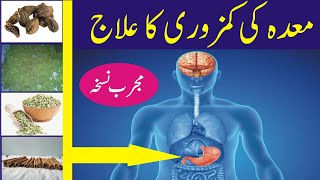 Maday ki kamzori ka ilaj in Urdu  Maida Stomach ki kamzori treatment [upl. by Anallise]