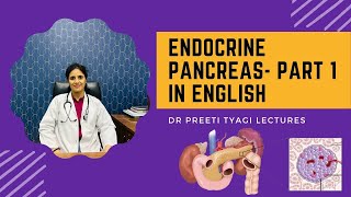 ENDOCRINE PANCREAS PART 1  in English [upl. by Calvinna814]