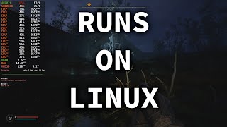 STALKER 2 Heart of Chornobyl Runs on Linux Unreal Engine 5 DLSSFG [upl. by Rayner907]