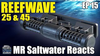 Red Seas REEFWAVE 25 amp 45 Aquarium WIFI Gyre Wave Pump  Mr Saltwater Reacts [upl. by Joaquin144]