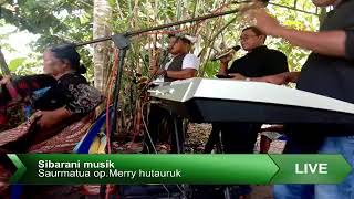 sibarani musik live bandar sawah [upl. by Natal793]