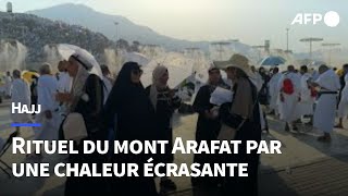 Hajj marée de fidèles au mont Arafat sous une chaleur extrême  AFP [upl. by Annadiana]