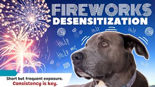 Fireworks Noise Desensitization for Dogs  Ambient Sound Fireworks  Dog Anxiety [upl. by Burkhard]