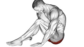 The 12 Best Mobility Exercises for Better Movement [upl. by Chi571]