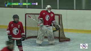 🔴LIVE DVTK JEGESMEDVÉK MISKOLC  HK HALYCKÉ LEVY NOVOJAVORIVSK HOCKEY LVIV OPEN CUP 2019 [upl. by Nimar]