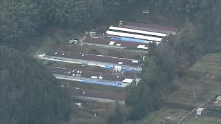 約１１万羽のニワトリの殺処分はじまる 県内の養鶏場で今季初の鳥インフルエンザ確認【香川・三豊市】 240206 1145 [upl. by Elehcar]