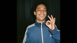 Loyle Carner Type Beat Born And Raised [upl. by Negyam751]