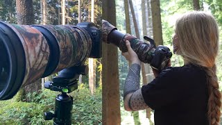 WILDLIFE PHOTOGRAPHY GEAR FROM A BEGINNER [upl. by Vas907]