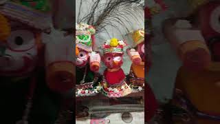 Jai Jagannath song music youtubeshorts shrots viralvideo [upl. by Noyek]