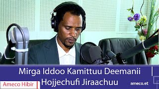 AMECO HIBIR Mirga Iddoo Kamittuu Deemanii Hojjechuufi Jiraachuu 06032017 [upl. by Helm185]