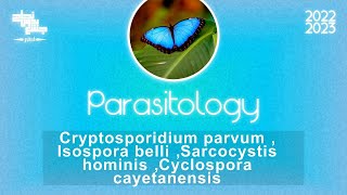 Cryptosporidium Isosporacyclosporaamp Sarcocystis  Parasitology [upl. by Phaidra]